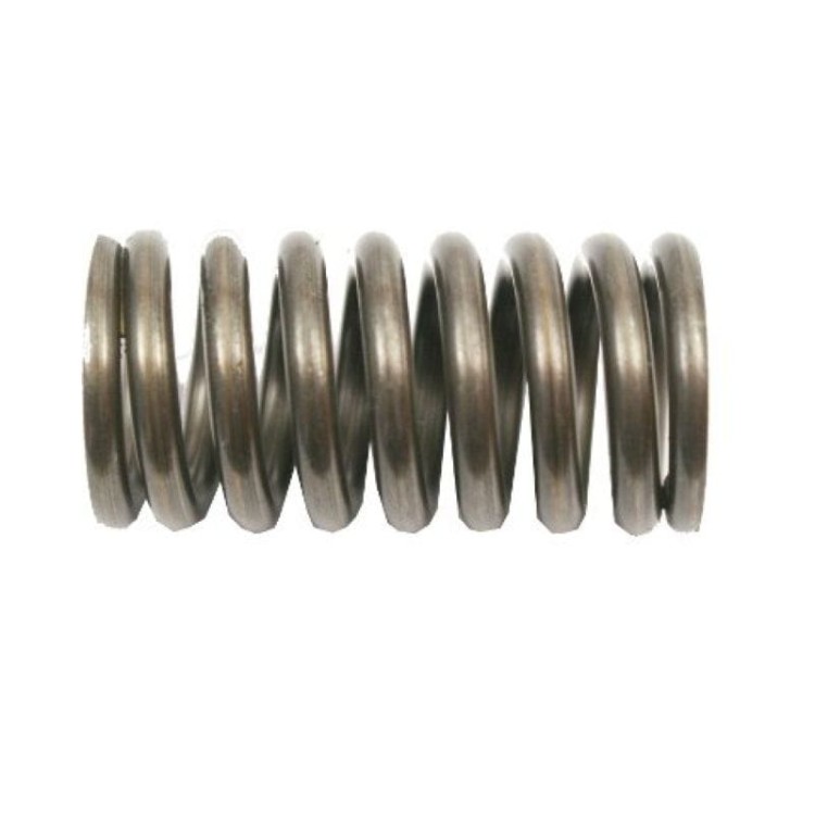 50010110.jpg