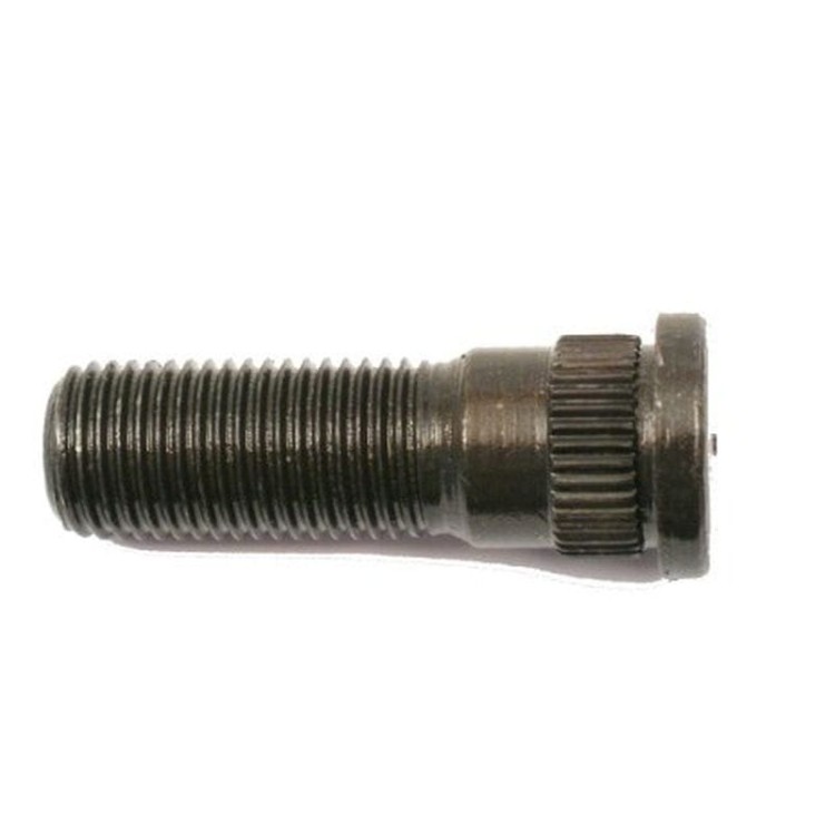 80600191.jpg